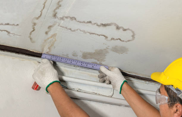 Reliable Mold Remediation contractor in Pleasantville, OH by Water Damage Irwin